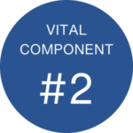 Vital Component 2