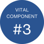 Vital Component 3