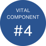 Vital Component 4
